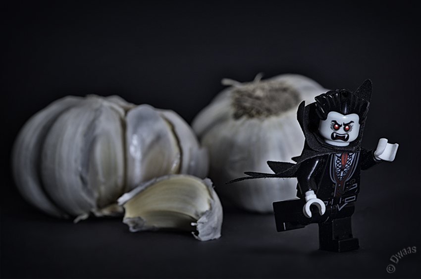 garlic flee dark lego vampire