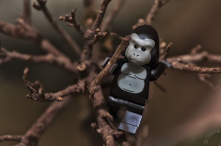 monkey tree climbing lego fun