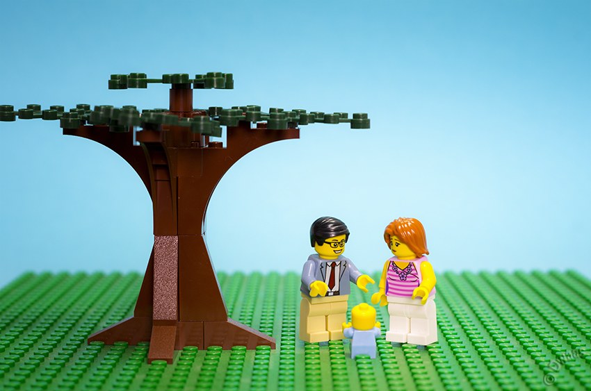 Life under a tree, circle of life, Lego