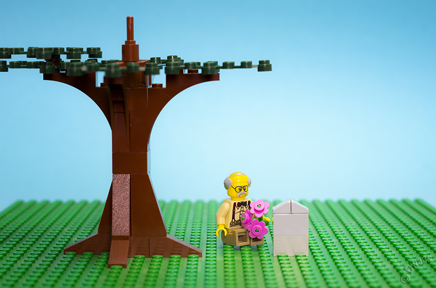 Life under a tree, circle of life, Lego