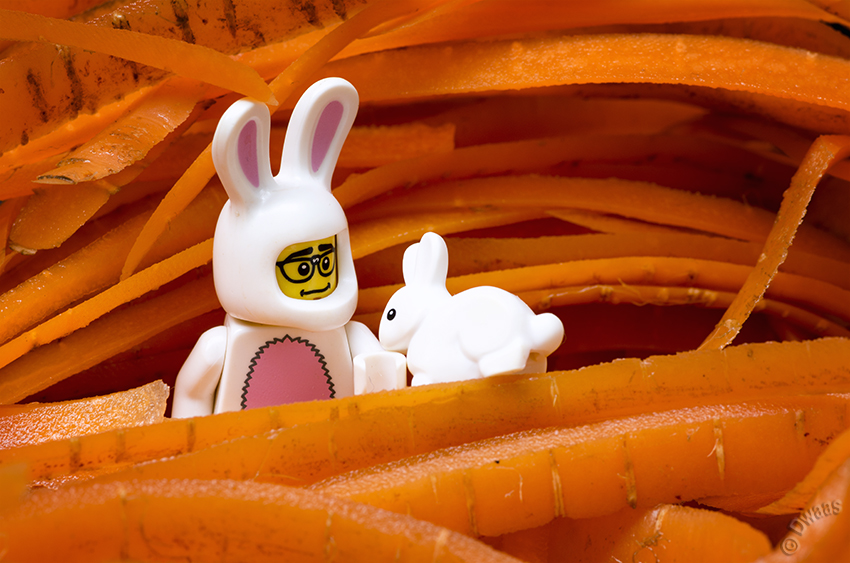 Bunny orange lego fun carrot
