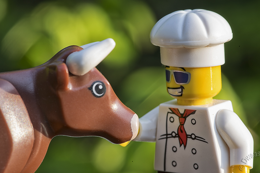 cow chef cook trust fun lego