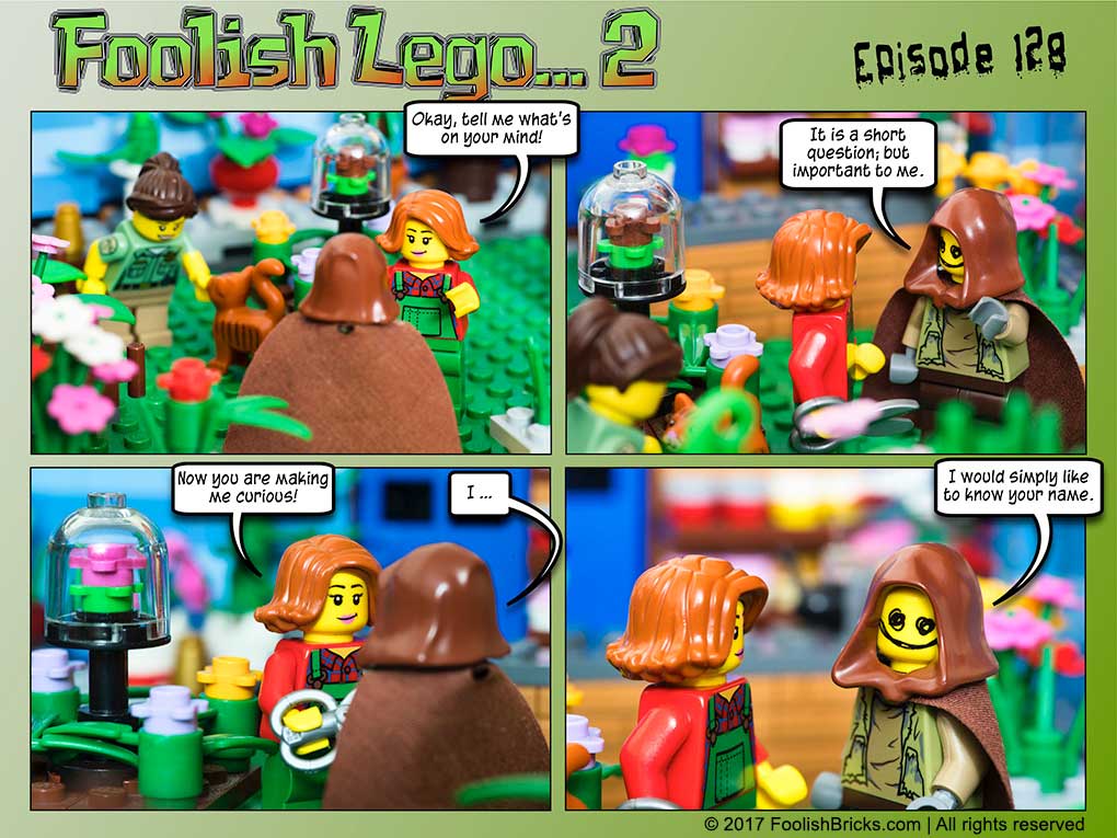 lego brick comic - Dwaas hesitates to ask about the flower