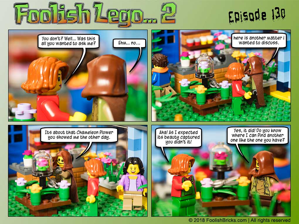 lego brick comic - Dwaas finally finds the courage to ask about the flower