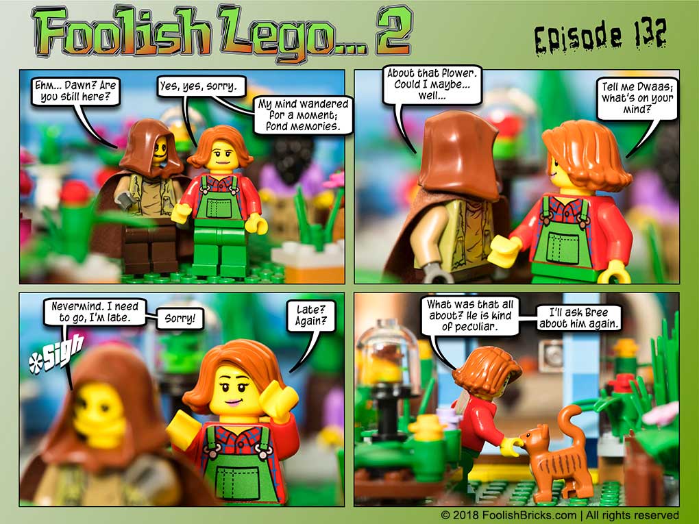 lego brick comic - Dwaas leaves hastily, convinced asking for the flower is useless.