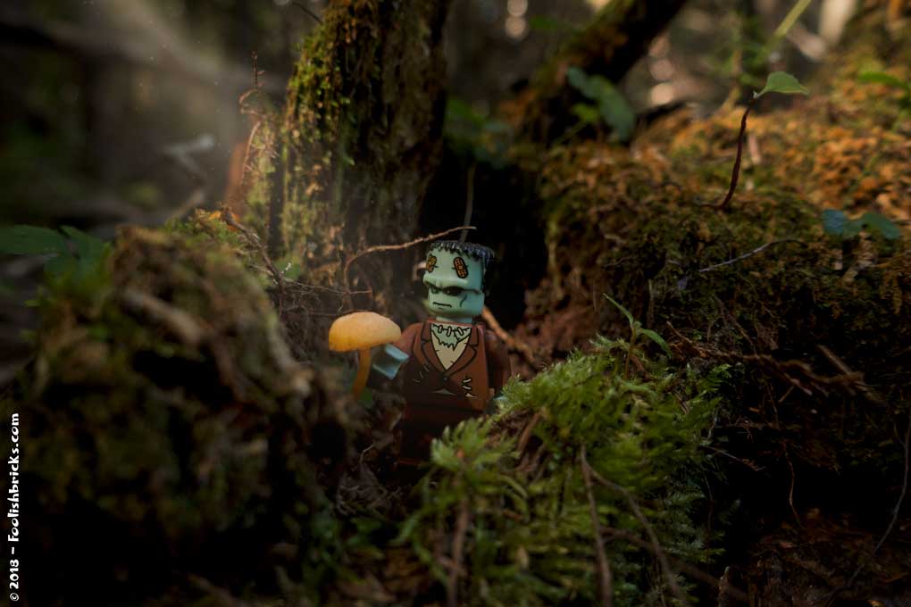 Lego photo - nature Frankenstein light mushroom